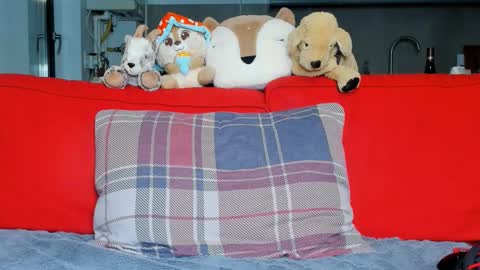 Snapshot of sexyfoxyari chatting on October 5, 2025, 5:33 pm Ari online show from October 5, 2025, 5:33 pm