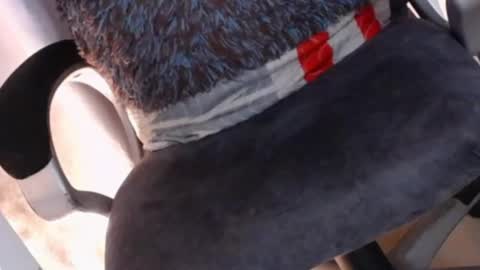 Snapshot of sexyshemale4uxxx chatting on February 7, 2025, 5:10 am online show from February 7, 2025, 5:10 am