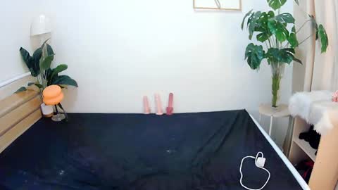 Snapshot of sexytrixie11 chatting on June 22, 2026, 3:47 am sexytrixie11 online show from June 22, 2026, 3:47 am