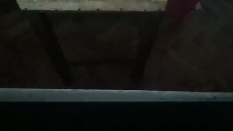 sexyyphilip online show from March 12, 2025, 2:52 am