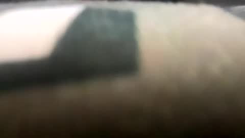 Snapshot of shaluk chatting on March 25, 2026, 9:21 pm shaluk online show from March 25, 2026, 9:21 pm