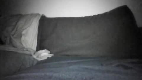 Shorty online show from December 17, 2025, 6:14 pm