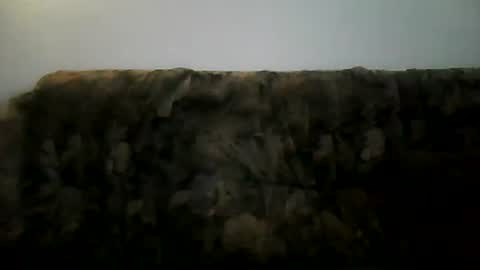 excelo21 online show from February 2, 2025, 2:13 pm