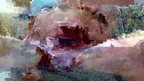 excelo21 online show from October 26, 2025, 7:14 am