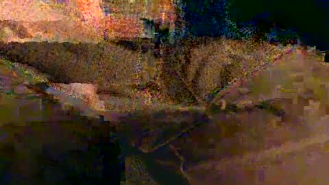 shapelyhelm1 online show from February 14, 2025, 8:10 am