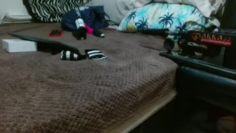 sharlot03 online show from February 12, 2025, 10:56 am