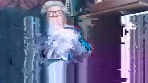 Shamroc online show from December 7, 2024, 3:41 pm