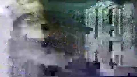 Shashee870242 online show from February 14, 2025, 5:25 pm