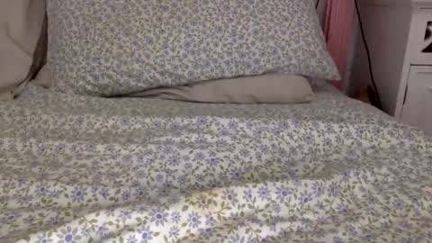 shavednsw online show from March 28, 2026, 8:58 am