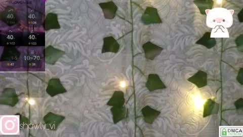 shawty_vi online show from February 3, 2025, 8:13 pm