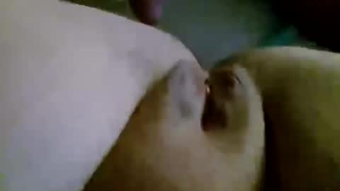 shay6371 online show from November 28, 2025, 7:55 am