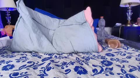 Shelsy online show from February 8, 2025, 3:00 pm