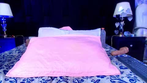 Shelsy online show from February 19, 2025, 2:55 pm