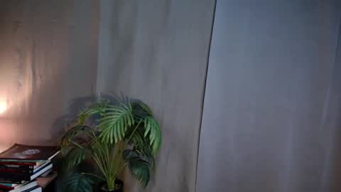 Lana But you can spell it backwards online show from March 13, 2026, 1:56 am