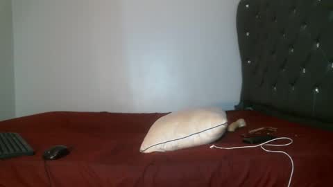 Shi-ro online show from February 17, 2026, 8:15 pm