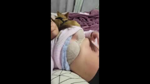 shmooinaround online show from December 15, 2025, 12:09 pm