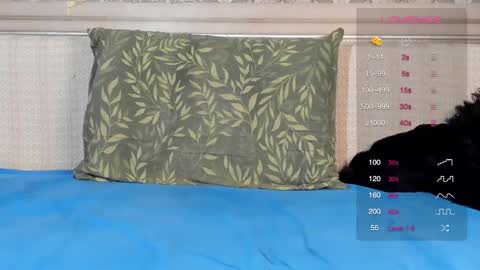 Snapshot of shottan chatting on March 1, 2025, 7:04 pm Oleg online show from March 1, 2025, 7:04 pm