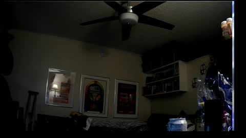 shrewtamer online show from January 8, 2025, 4:44 pm