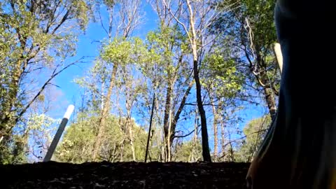 Snapshot of shy_college_girl chatting on January 11, 2025, 11:13 pm Aurora Wolfe Shy College Girl Top 16 of all OF Creators online show from January 11, 2025, 11:13 pm