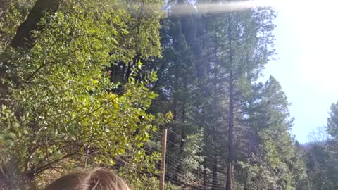 Snapshot of shy_college_girl chatting on February 10, 2025, 9:47 pm Aurora Wolfe Shy College Girl Top 16 of all OF Creators online show from February 10, 2025, 9:47 pm