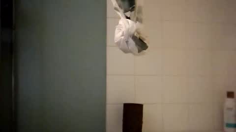 sigmaelixer online show from October 18, 2025, 8:37 am