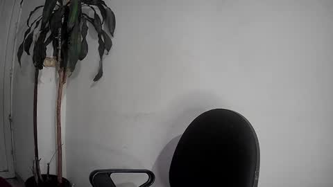 Silvie online show from December 2, 2024, 12:52 am