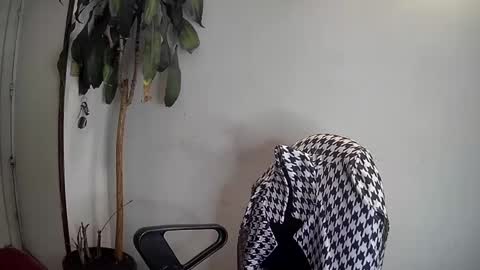 Silvie online show from January 7, 2025, 3:46 am