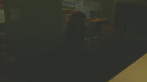 Snapshot of silvin76 chatting on January 6, 2025, 5:08 am silvin76 online show from January 6, 2025, 5:08 am