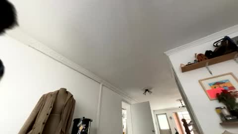 siriss_boyrag online show from February 14, 2026, 2:14 pm