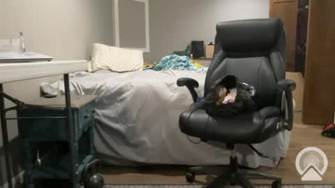 sissyryan3 online show from January 21, 2025, 12:46 am