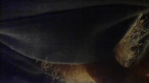 sjim368 online show from December 2, 2025, 1:17 pm