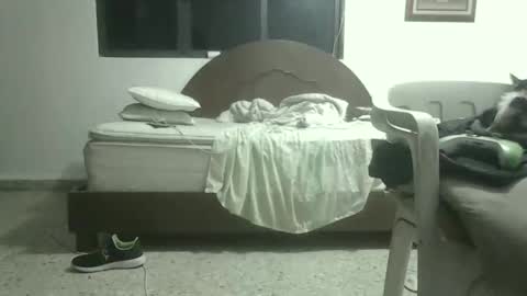 Snapshot of skanky_little_dolls chatting on November 27, 2025, 8:05 am skanky_little_dolls online show from November 27, 2025, 8:05 am