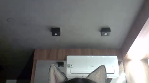 skinnykittencam online show from September 28, 2025, 5:57 am