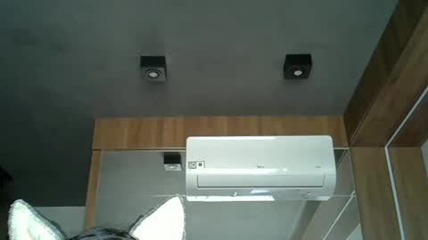 skinnykittencam online show from October 3, 2025, 11:51 am