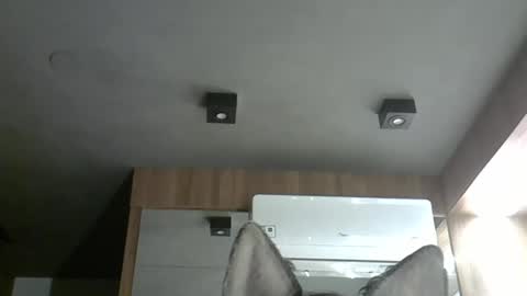 skinnykittencam online show from November 6, 2025, 4:13 am