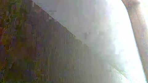 skinnykittencam online show from November 8, 2025, 1:55 pm