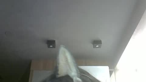 skinnykittencam online show from March 22, 2026, 2:42 pm