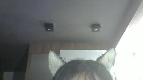 skinnykittencam online show from March 28, 2026, 4:01 am