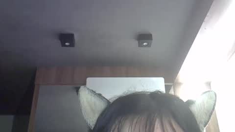 skinnykittencam online show from April 2, 2026, 3:15 am