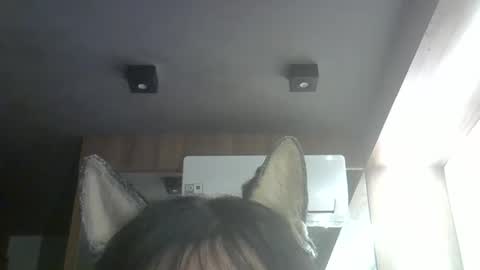 skinnykittencam online show from April 19, 2026, 6:54 pm