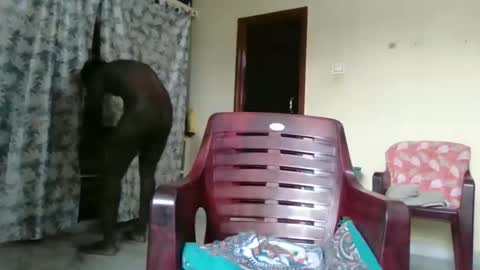 Indianslut1431 online show from April 9, 2026, 7:03 am