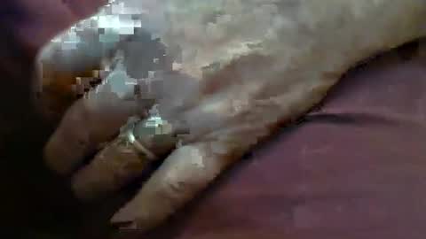 ResqPylot2 online show from February 4, 2026, 4:13 pm