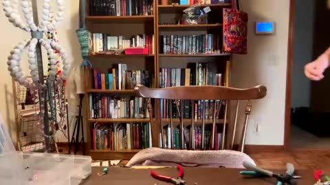 Sky Winters online show from February 19, 2025, 11:46 pm