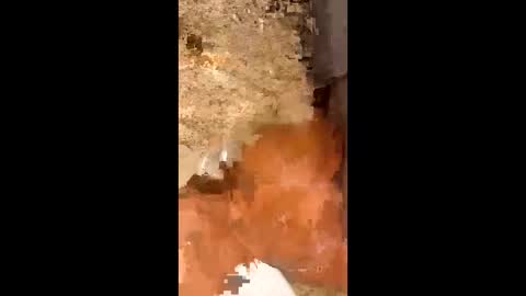 slapaho666 online show from October 3, 2025, 3:03 am