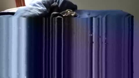 slappincheeks299 online show from October 28, 2025, 10:23 pm