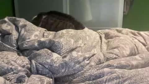 slice5 online show from December 21, 2025, 9:49 am