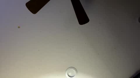 Slickdog online show from January 30, 2025, 6:03 am