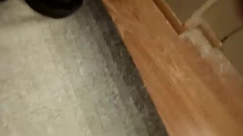 slickdog58 online show from September 19, 2025, 7:47 pm