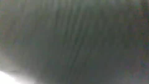 slothslav online show from January 31, 2025, 10:10 am