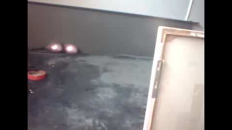 slutviki online show from February 15, 2026, 10:14 am